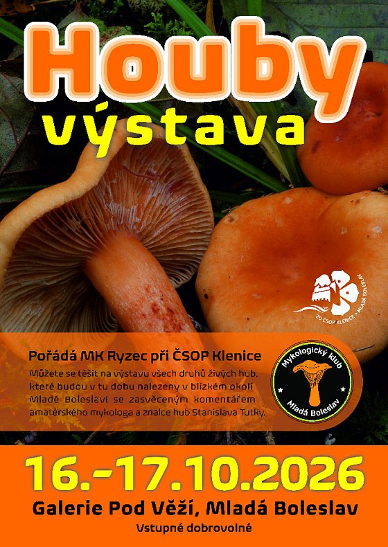 Houby výstava